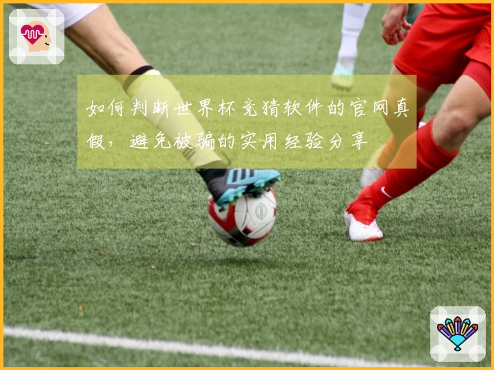 如何判断世界杯竞猜软件的官网真假,避免被骗的实用经验分享