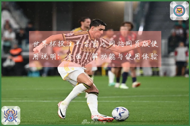 世界杯投注平台官方网站网页版使用说明：全面了解功能与使用体验