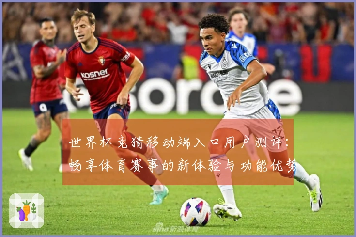 世界杯竞猜移动端入口用户测评:畅享体育赛事的新体验与功能优势