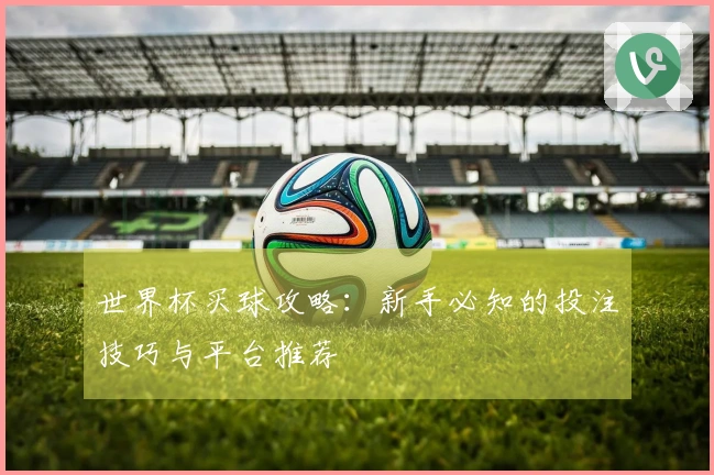 世界杯买球攻略：新手必知的投注技巧与平台推荐