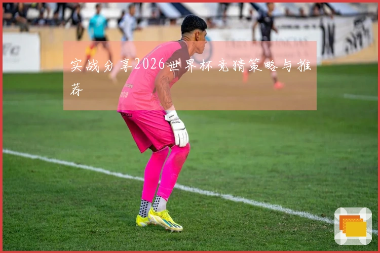 实战分享2026世界杯竞猜策略与推荐