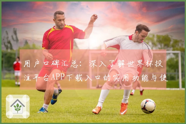 用户口碑汇总：深入了解世界杯投注平台APP下载入口的实用功能与使用体验