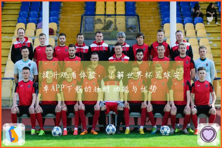 提升观看体验，了解世界杯买球安卓APP下载的独特功能与优势