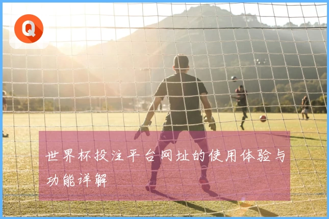 世界杯投注平台网址的使用体验与功能详解