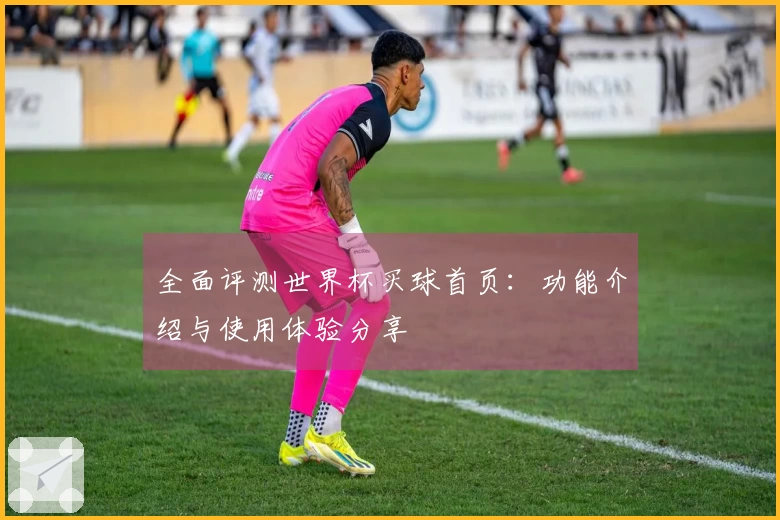 全面评测世界杯买球首页：功能介绍与使用体验分享