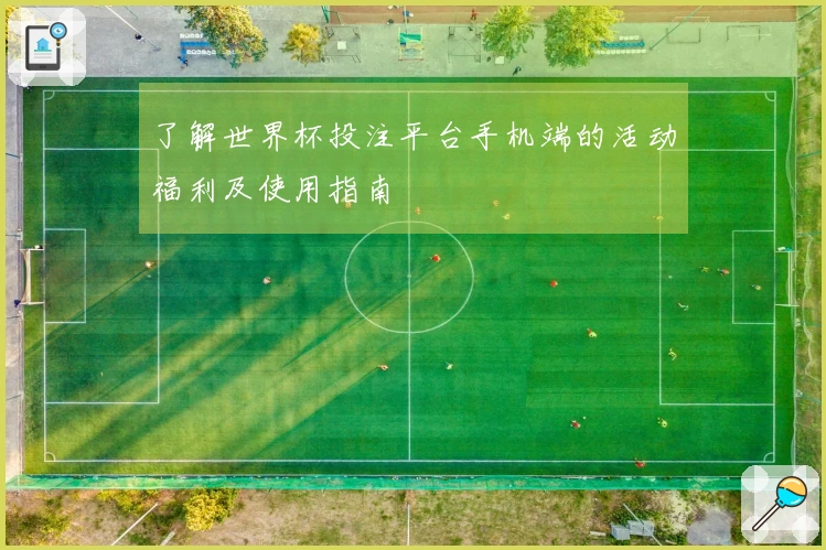 了解世界杯投注平台手机端的活动福利及使用指南