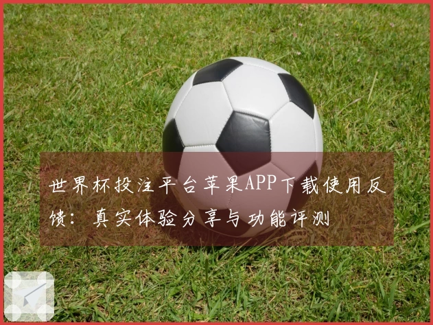 世界杯投注平台苹果APP下载使用反馈：真实体验分享与功能评测