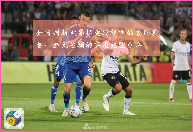 如何判断世界杯竞猜软件的官网真假，避免被骗的实用经验分享