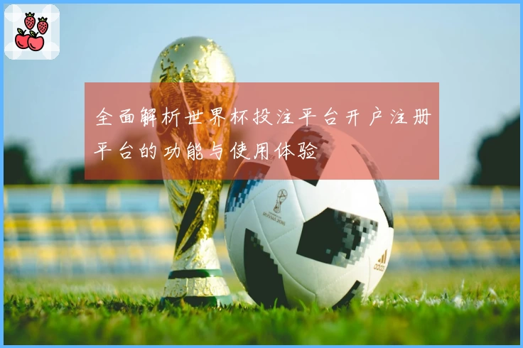 全面解析世界杯投注平台开户注册平台的功能与使用体验