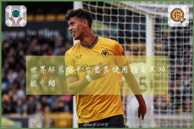 世界杯买球平台首页使用指南及功能介绍