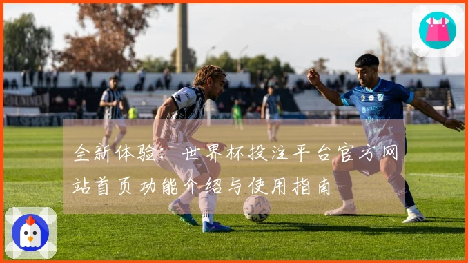 全新体验：世界杯投注平台官方网站首页功能介绍与使用指南