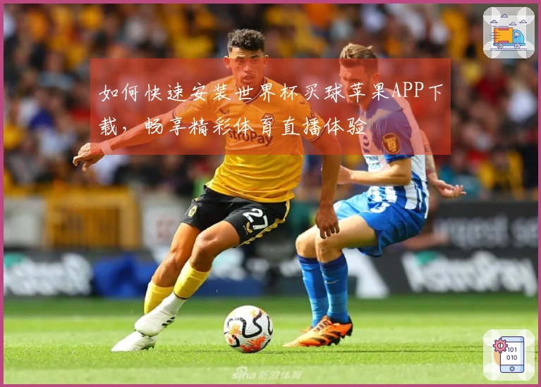 如何快速安装世界杯买球苹果APP下载,畅享精彩体育直播体验