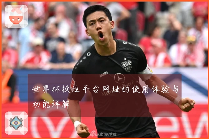 世界杯投注平台网址的使用体验与功能详解