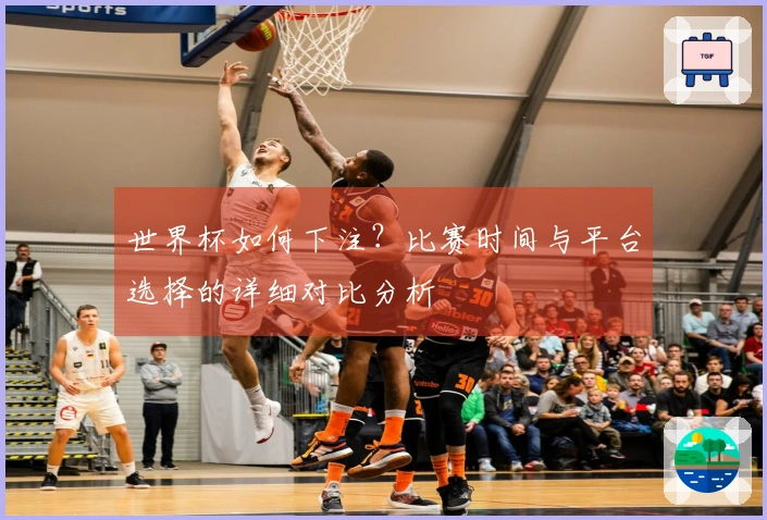 世界杯如何下注?比赛时间与平台选择的详细对比分析
